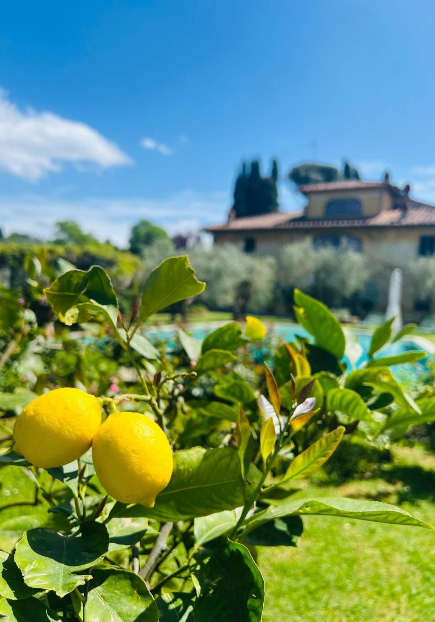 Villa Giotto Florence Pozzolatico Екстериор снимка