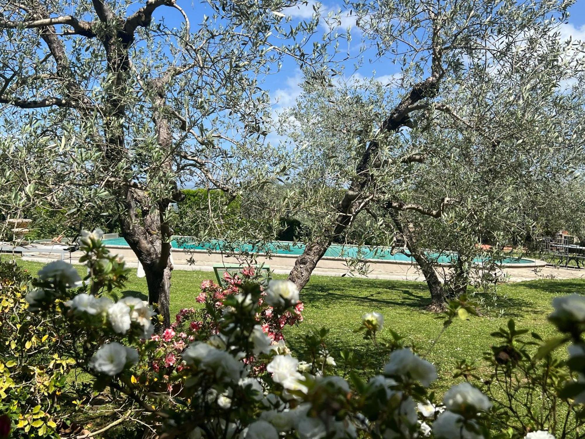 Villa Giotto Florence Pozzolatico Екстериор снимка